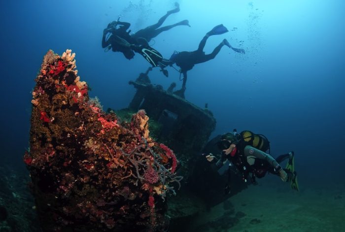 Sophisticated Lady | diving cruises